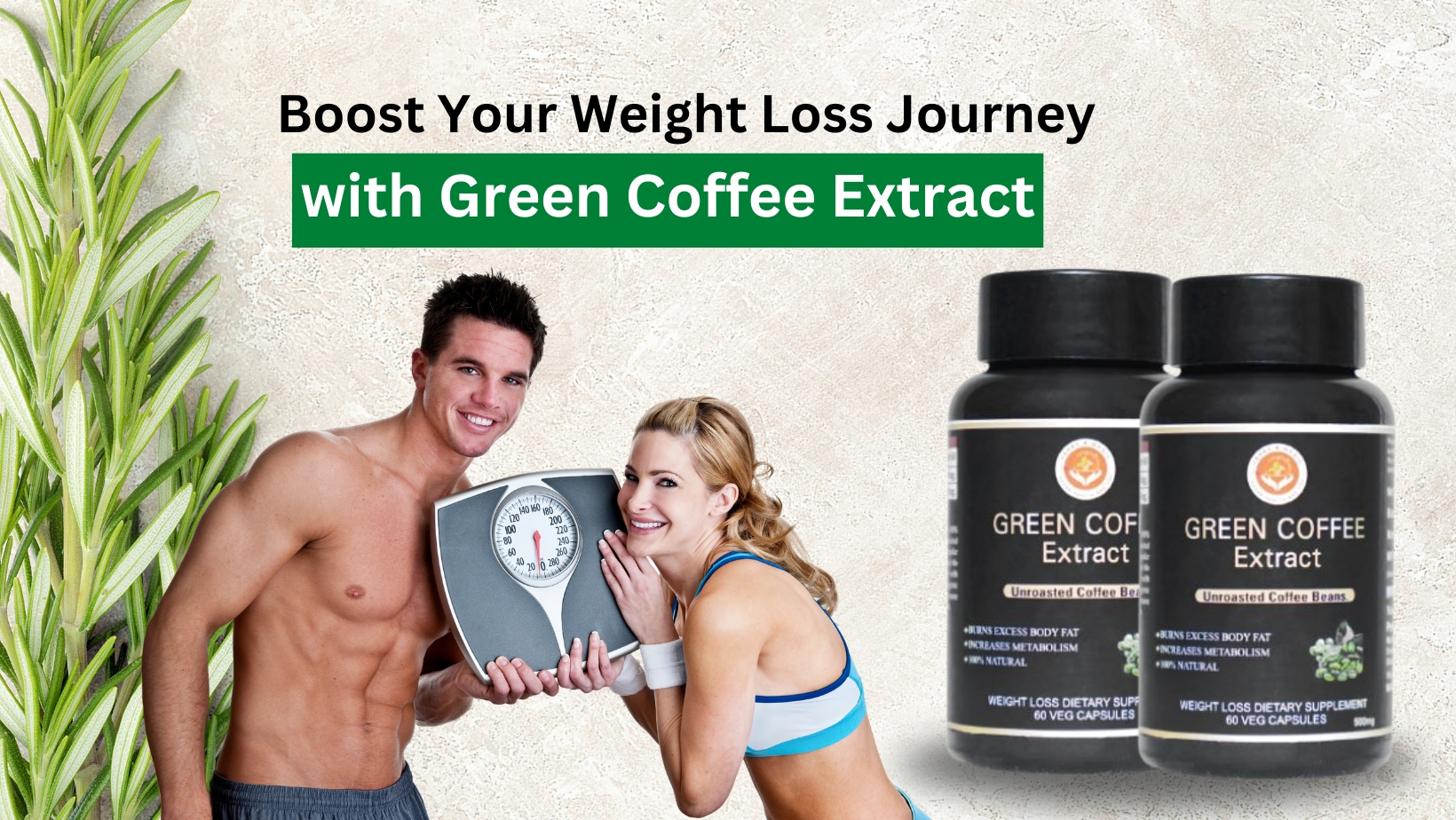 Herbs And Magic Green Coffee Extract Capsules – Best for Weight Management
